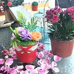 Rose & Water 4*