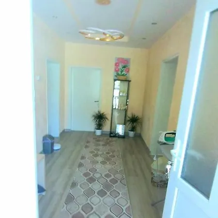 Rose & Water Pensiune Pavel Banea