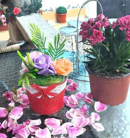 Rose & Water 4*