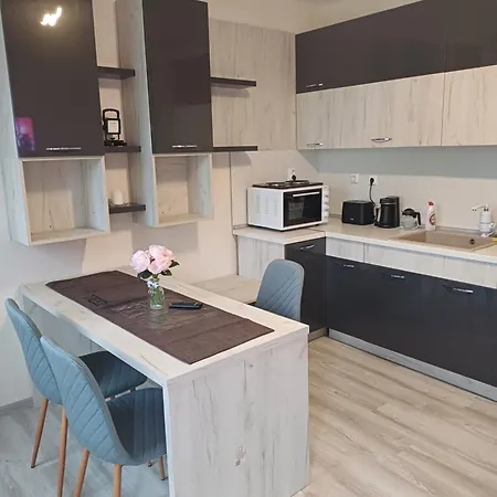 Rose & Water Pensiune Pavel Banea