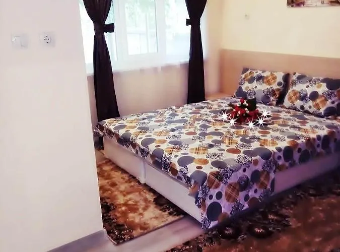 Rose & Water 招待所 帕维尔巴尼亚