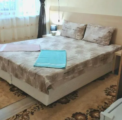 Rose & Water 招待所 4*