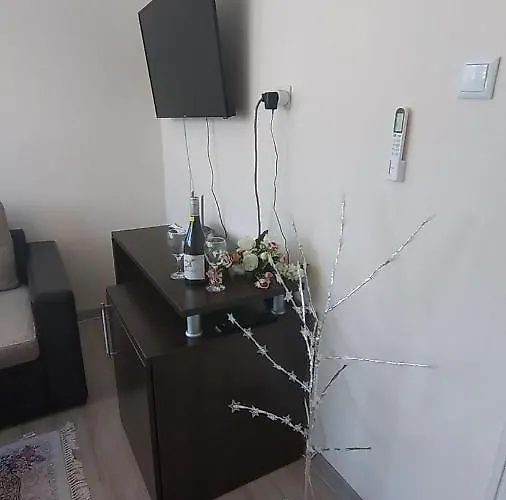 招待所 Rose & Water