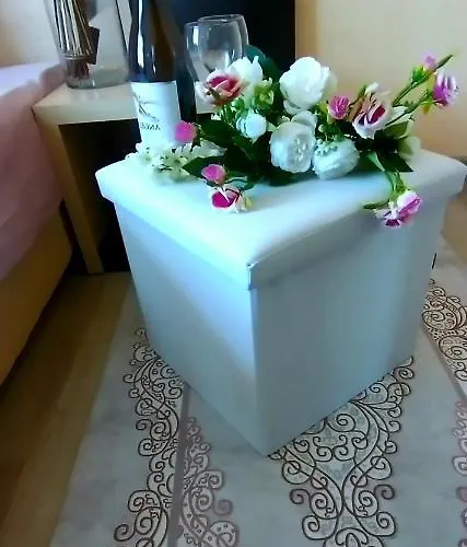 招待所 Rose & Water