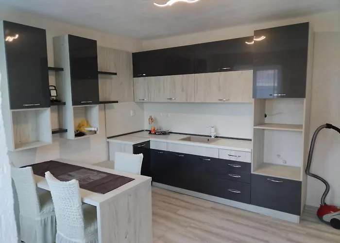 Rose & Water 招待所 帕维尔巴尼亚