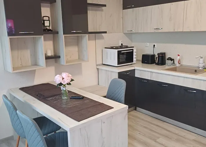 Rose & Water 招待所 帕维尔巴尼亚